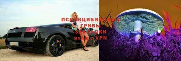 хмурый Алексин