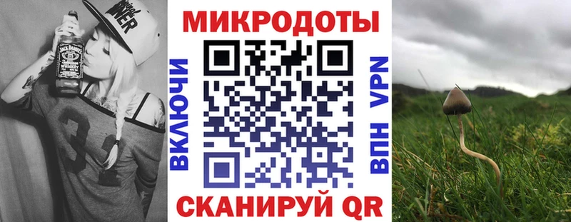 цены наркотик  Морозовск  Галлюциногенные грибы Psilocybe 