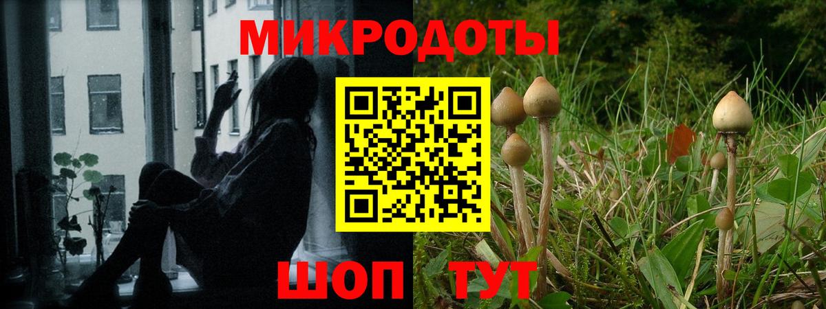 Псилоцибиновые грибы прущие грибы  Вход с VPN  Морозовск 